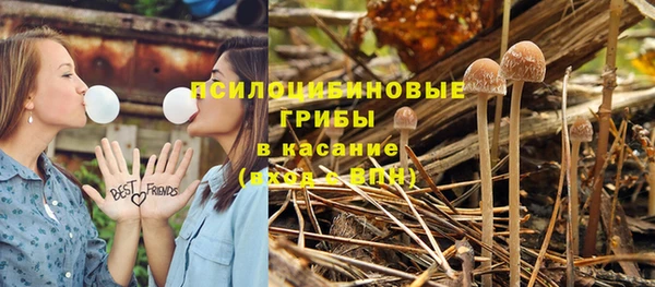 спайс Богданович