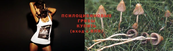 шишки Верхнеуральск