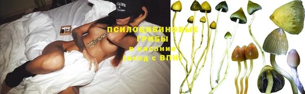 шишки Верхнеуральск