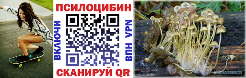 Галлюциногенные грибы GOLDEN TEACHER  Искитим 